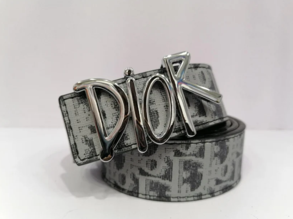 Dior Silver Logo Belt Blue Strap Printed
